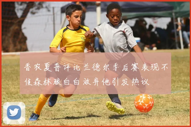 香农夏普评论兰德尔季后赛表现不佳森林狼白白放弃他引发热议