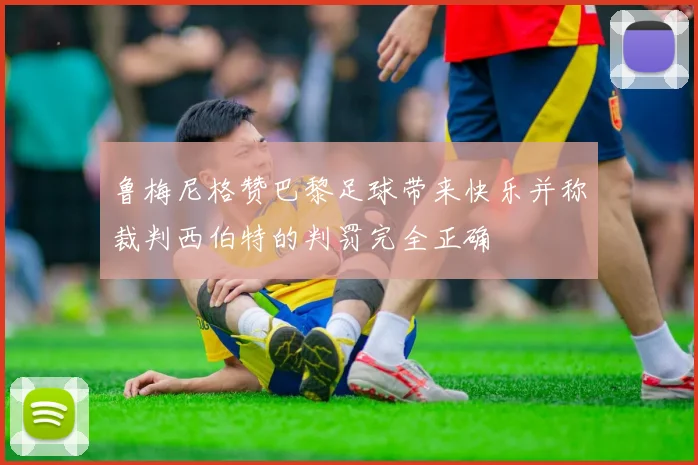 鲁梅尼格赞巴黎足球带来快乐并称裁判西伯特的判罚完全正确