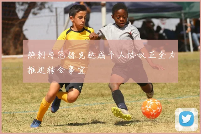 热刺与范赫克达成个人协议正全力推进转会事宜